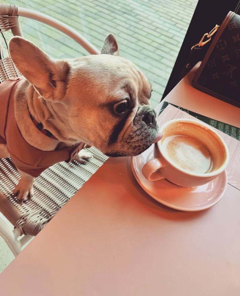 Photo Nov 10 2023 5 05 56 PM 768x950