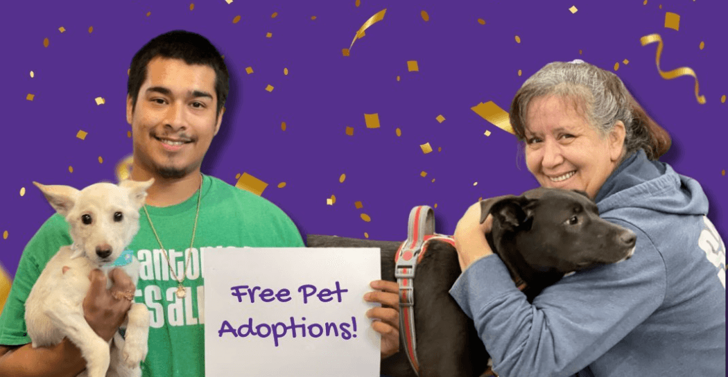 https://dogfriendlysanantonio.com/wp-content/uploads/2024/01/free-pet-adoptions-sapa.png