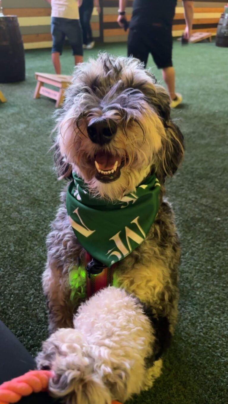 mcintyres san antonio 5 768x1363